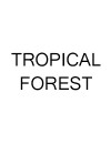 Tropical forest